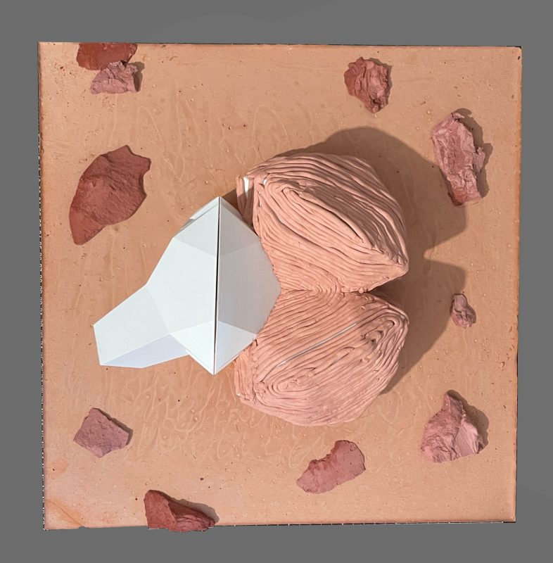 Habitat Decahedron Modellfoto 1-001